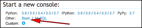 pointing at Other: Bash in Start a new Console